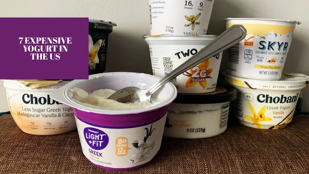 7 Expensive Yogurt In The Us