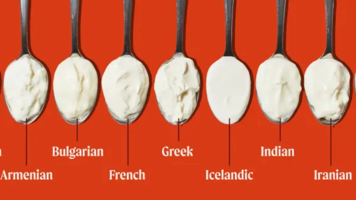 Types of Yoghurt Around The World