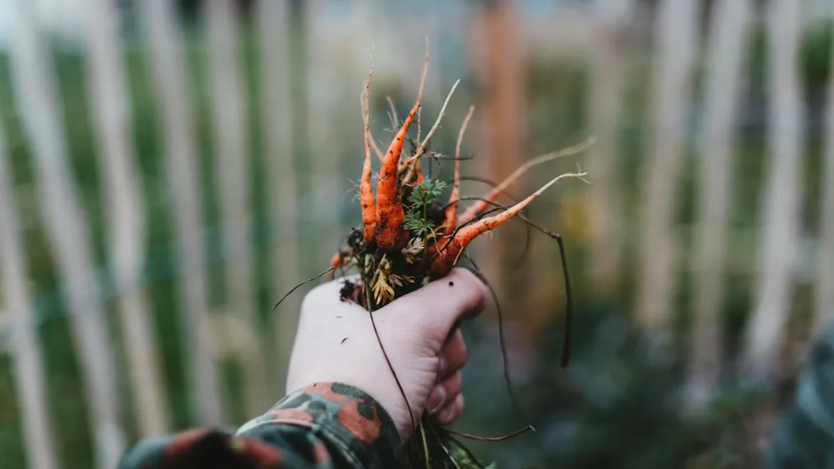 12 Immune-boosting Vegetables You’ll Want To Eat
